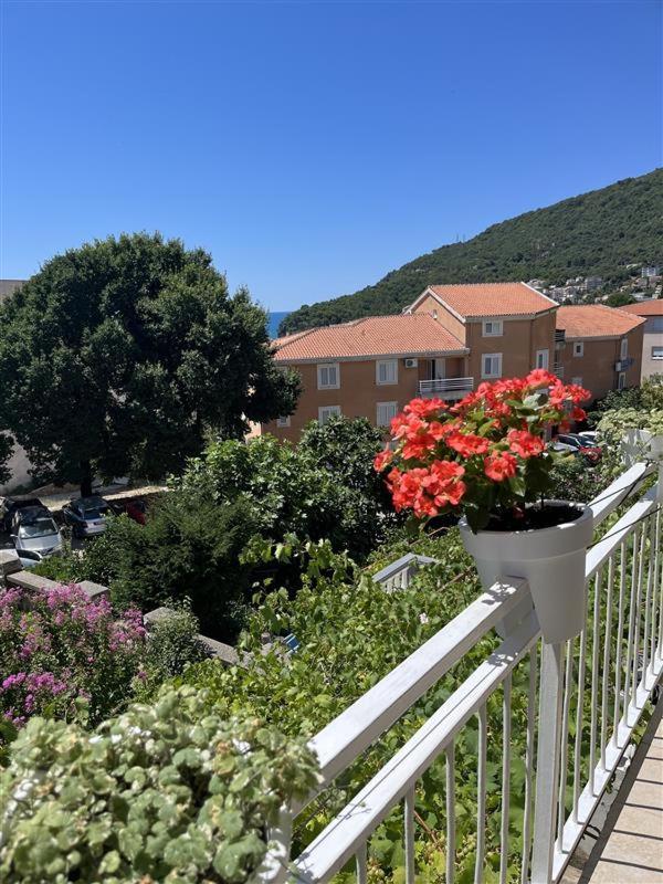 Apartmani Neda Bane Petrovac Екстер'єр фото